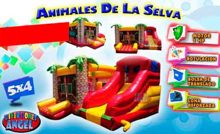 Animales de la Selva 5x4